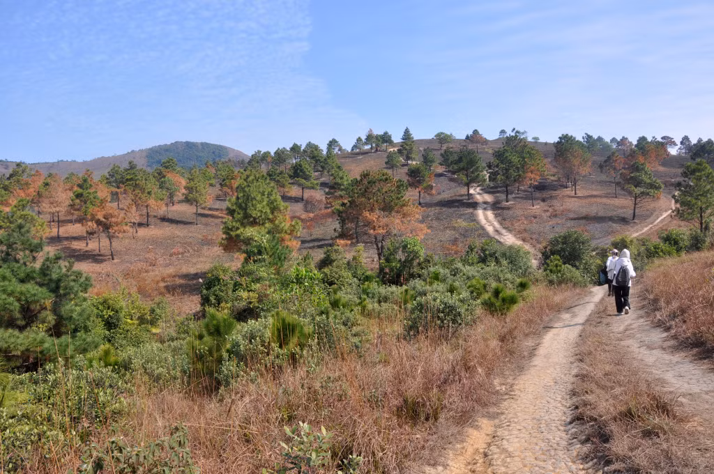 Khung cảnh nên thơ của đồi Phượng Hoàng (TP Uông Bí).