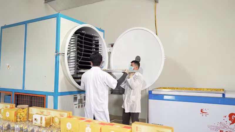 Công nghệ sấy lạnh thăng hoa của Công ty TNHH Thương mại dịch vụ và XNK Quy Hoa (huyện Hải Hà).
