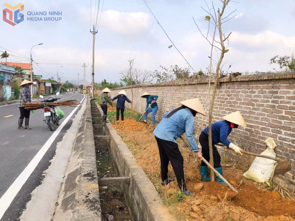 Hội LHPN phường Tràng An (TP Đông Triều) trồng cây hoa ban tại tuyến đường Hội LHPN tự quản, tháng 3/2025.