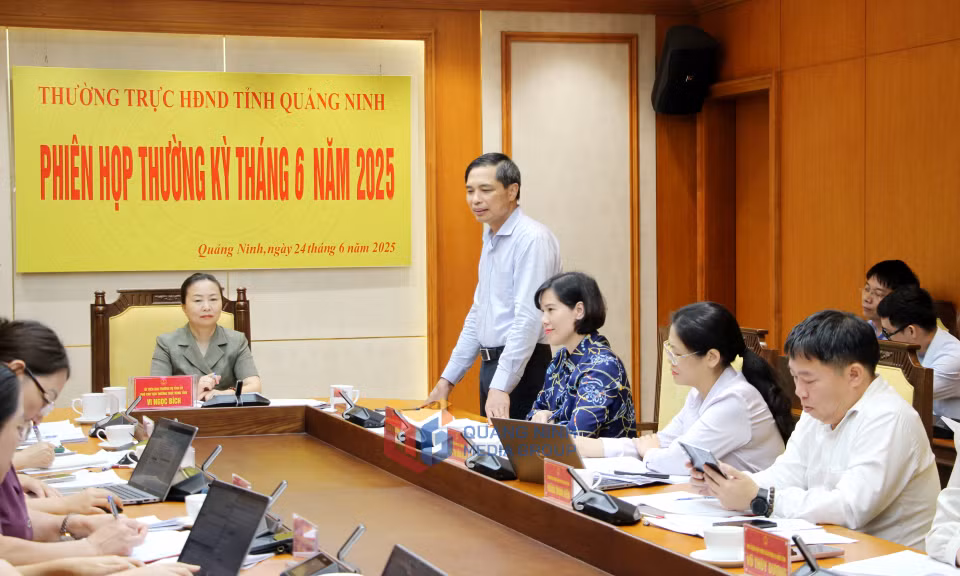 Đồng chí Vũ Văn Diện, Phó Chủ tịch Thường trực UBND tỉnh, phát biểu tại phiên họp.