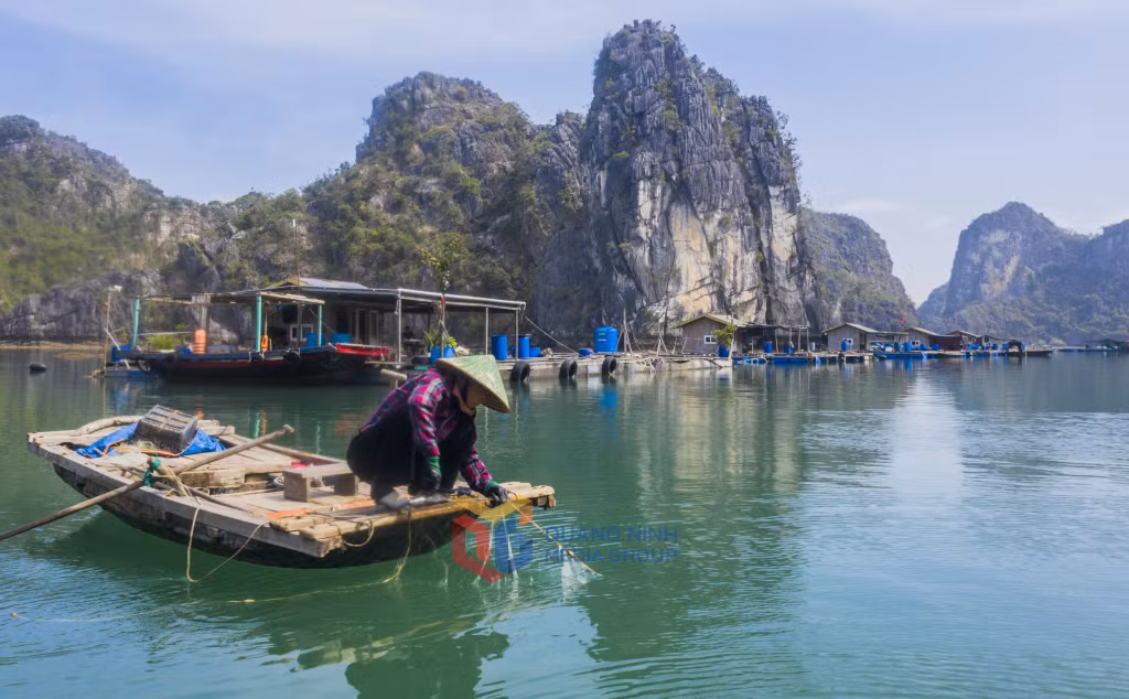 Bình yên cảnh người dân kéo lưới