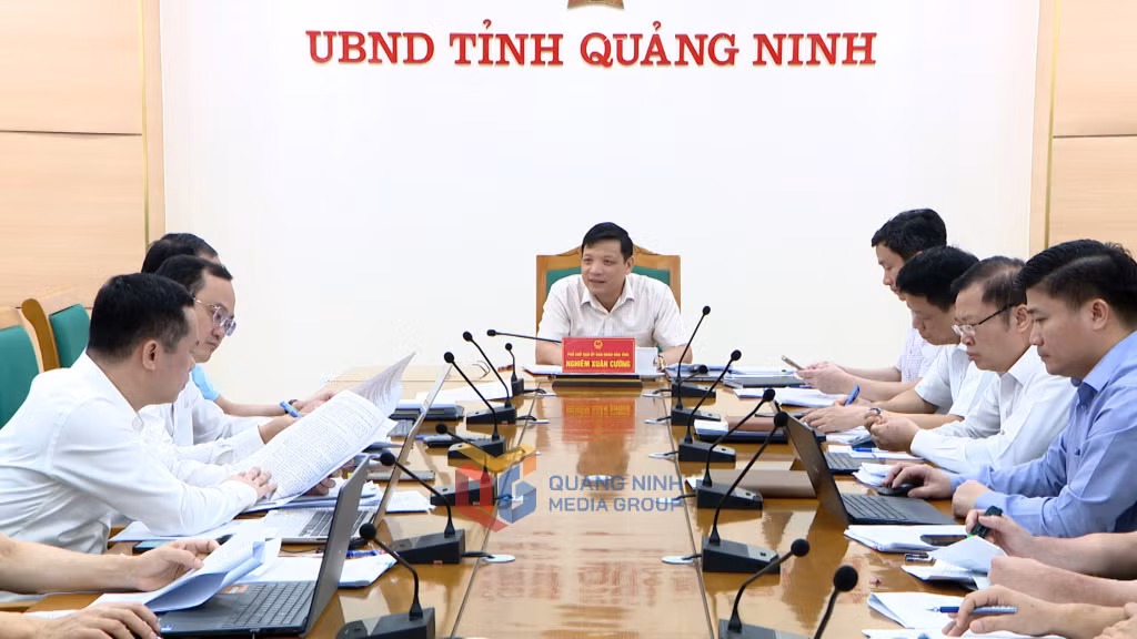 Đồng chí Nghiêm Xuân Cường, Phó Chủ tịch UBND tỉnh phát biểu chỉ đạo tại cuộc họp. 