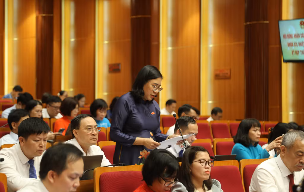 Đại biểu Bùi Thị Hải, tổ đại biểu HĐND TP Hạ Long