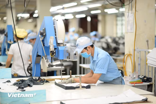Nhiều doanh nghiệp đã tập trung vào các thương hiệu có giá trị gia tăng cao để giữ vững thị phần. (Ảnh: Đức Duy/Vietnam+)