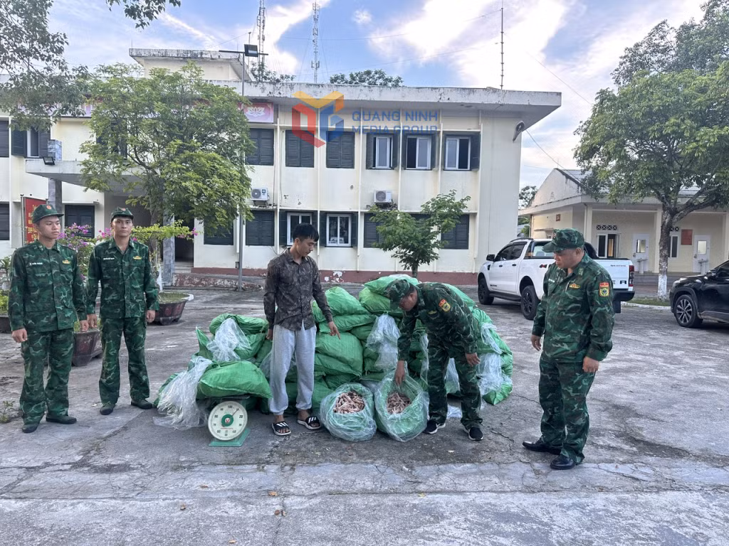 Đối tượng và tang vật bị BĐBP bắt giữ