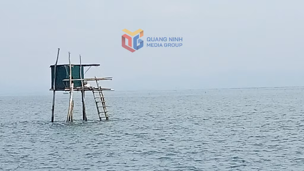 Chòi canh ngao, nghêu của HTX Nuôi trồng thủy sản Thành Vân.