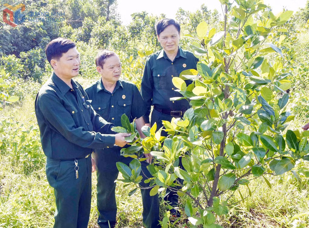 Hội CCB huyện Vân Đồn thăm mô hình phát triển kinh tế thôn Đầm Tròn, xã Bình Dân..