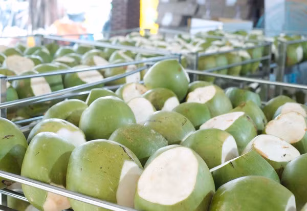 Sức hút của nông sản Việt - Ảnh 2.