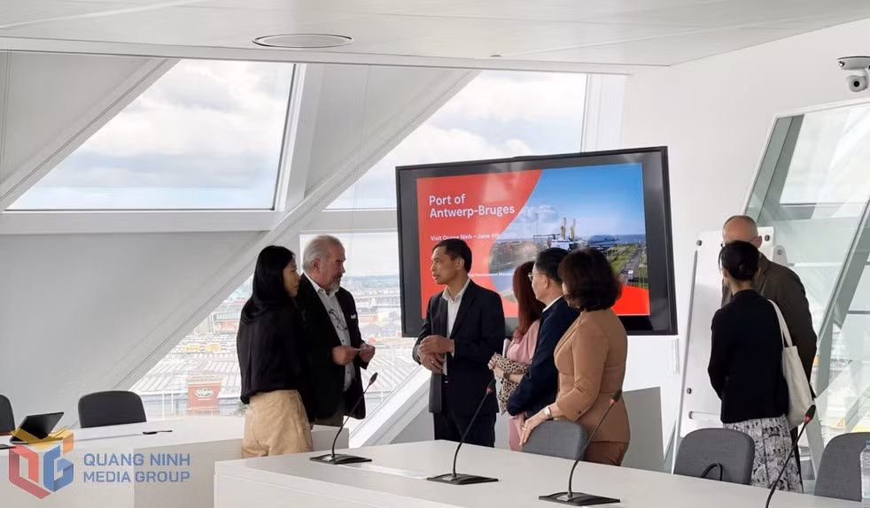 Đoàn Đại biểu Tỉnh Quảng Ninh đến thăm, làm việc với Cảng Antwerp