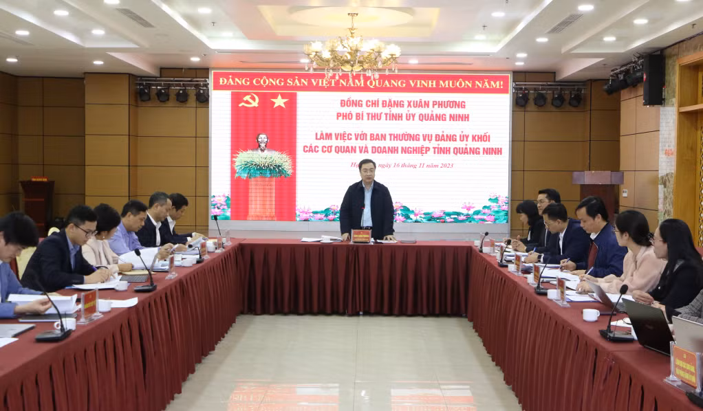 Đồng chí Đặng Xuân Phương, Phó Bí thư Tỉnh ủy phát biểu tại buổi làm việc.