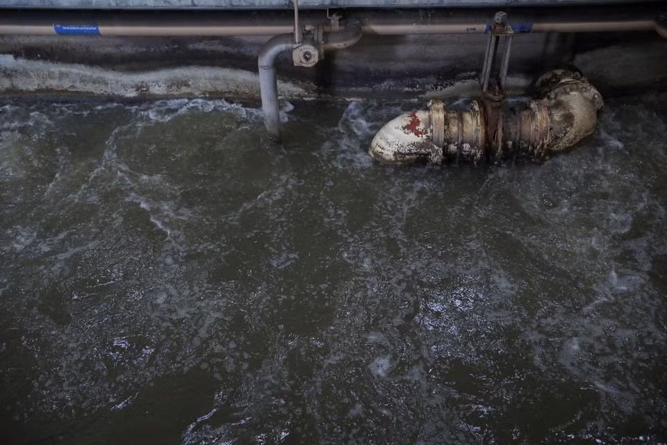 Ảnh: Reuters
