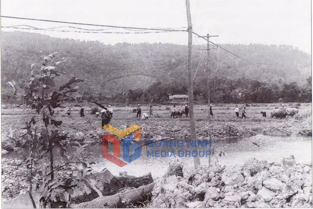 Năm 1964, mặc dù bị đánh phá ác liệt, nhân dân xã Sơn Dương, huyện Hoành Bồ, vẫn dũng cảm sản xuất bên hố bom của kẻ thù. Ảnh: Tư Liệu