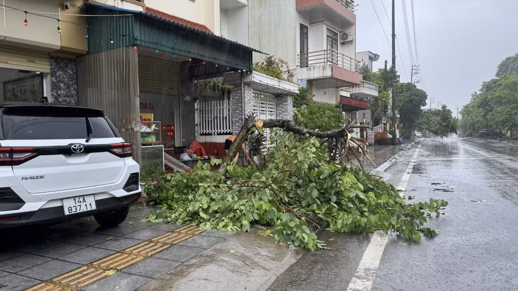 Cây xanh gãy đổ trên một số tuyến đường.