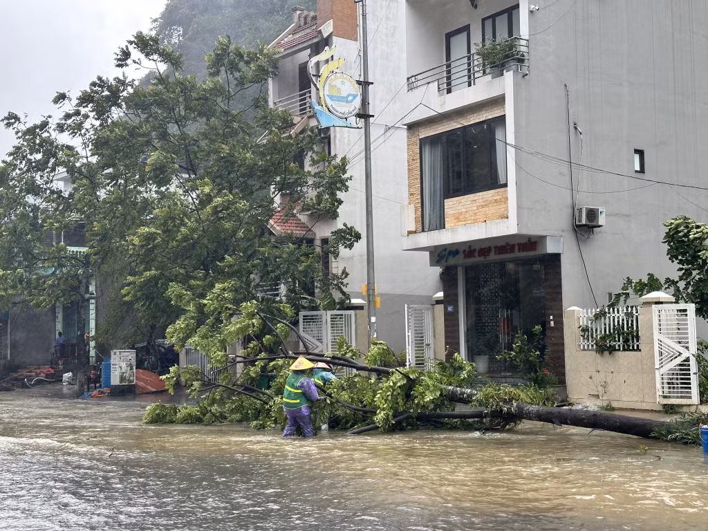 Công nhân vệ sinh môi trường thu gom cây gãy, đổ do mưa bão.