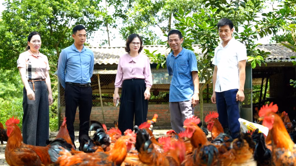 Đảng ủy xã Quảng Thịnh (huyện Hải Hà) tổ chức kiểm tra tiến độ thực hiện chương trình xây dựng NTM nâng cao tại thôn 4.