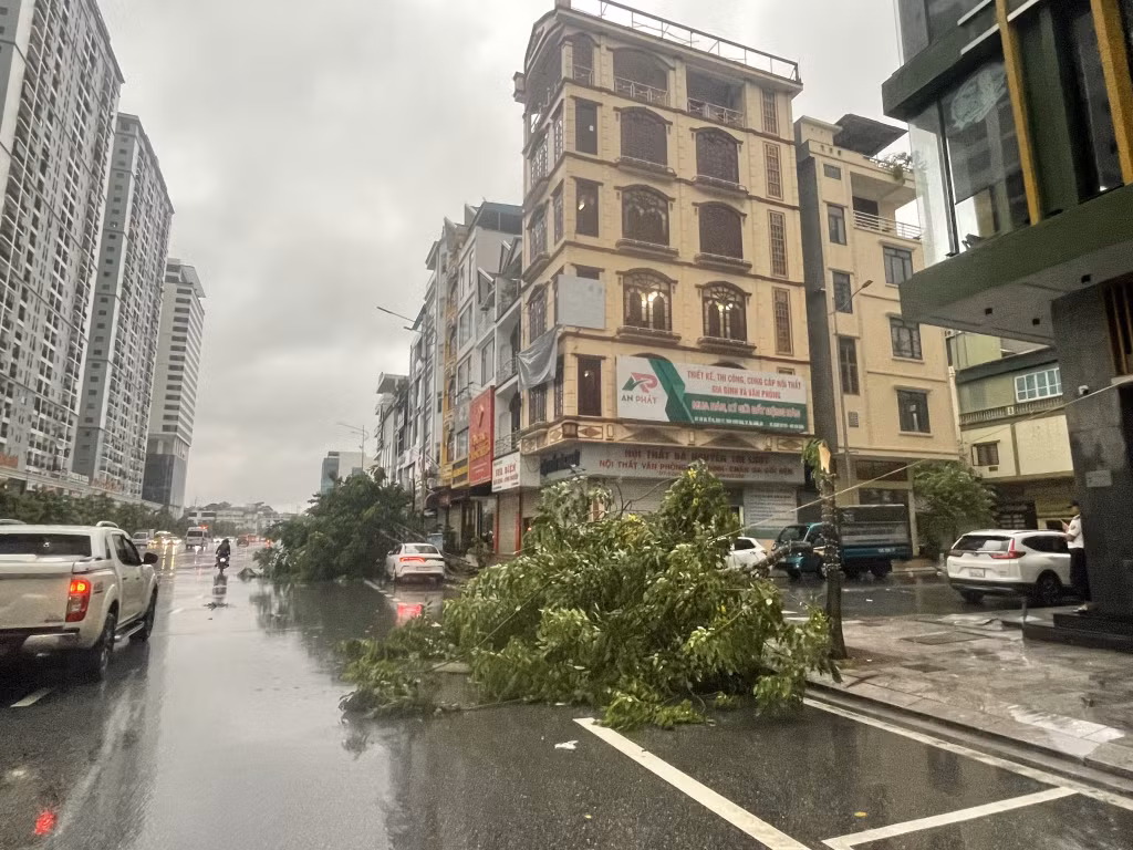 Đường Trần Hưng Đạo, cây xanh ngã đổ.