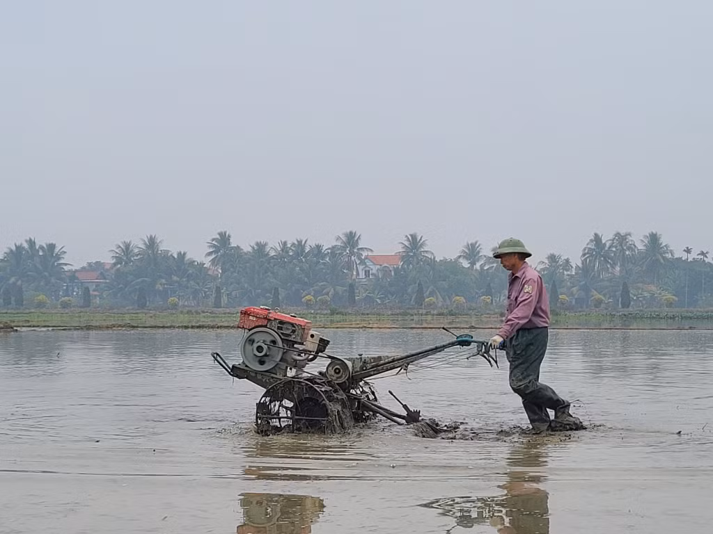 Nông dân Đông Triều chuẩn bị đất cho vụ gieo trồng mới.