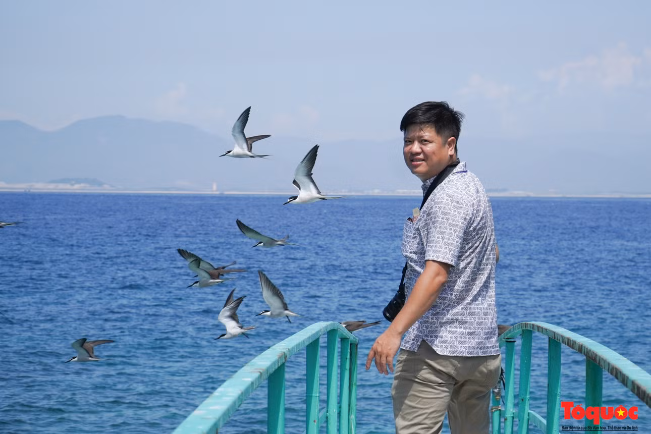 Tại vùng biển Nha Trang, hải âu tụ về Hòn Nội từ tháng 3 đến tháng 10 hàng năm, chỉ dấu của biển êm, sóng lặng, mưa thuận gió hòa cho người đi biển.