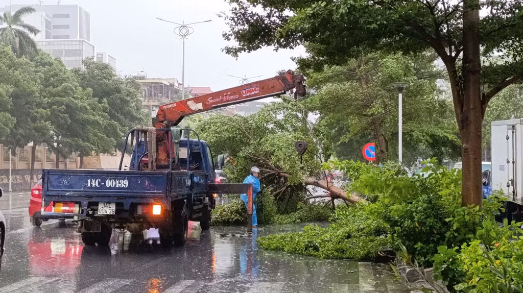 Bão số 2 đổ bộ vào Quảng Ninh ảnh 30