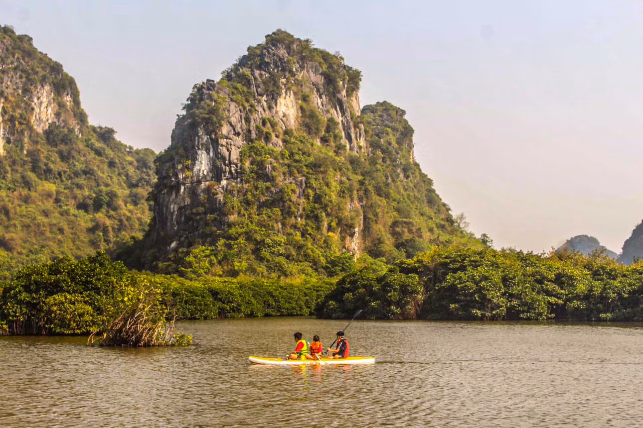 Tại xã Phù Long, ngoài rừng ngập mặn Cát Bà được nhiều du khách lựa chọn để tham quan, nơi đây còn được thiên nhiên ưu ái với những hang động, rừng trên đảo đá vôi… Ảnh: Rừng ngập mặn Cát Bà