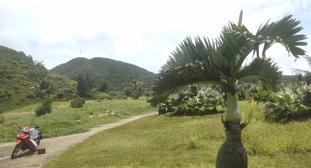 Việc chậm triển khai thực hiện dự án đã gây lãng phí lớn về tài nguyên đất.