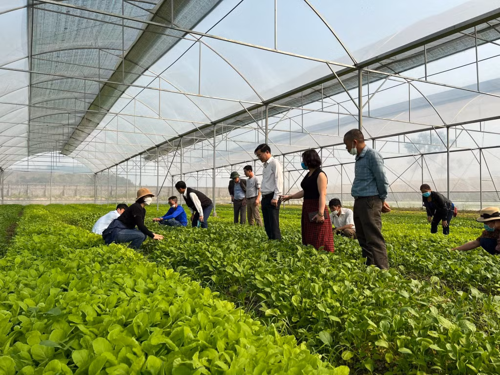 HND huyện Cô Tô tổ chức cho hội viên nông dân học tập các mô hình kinh tế tại TX Đông Triều. Ảnh: HND Cô Tô.