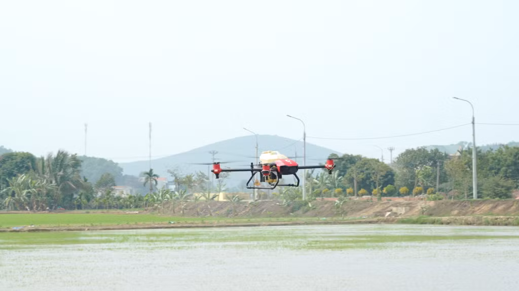 Thiết bị bay không người lái được sử dụng để phun thuốc trừ sâu ở TX Đông Triều. Ảnh: Minh Yến.