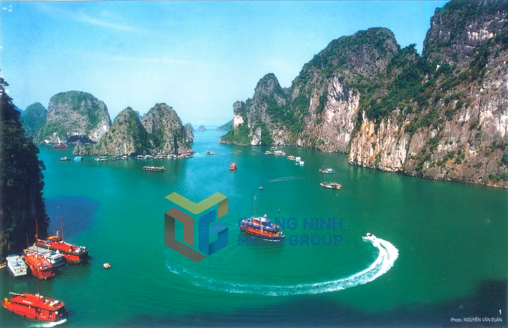 Ảnh: Nguyễn Văn Tuấn