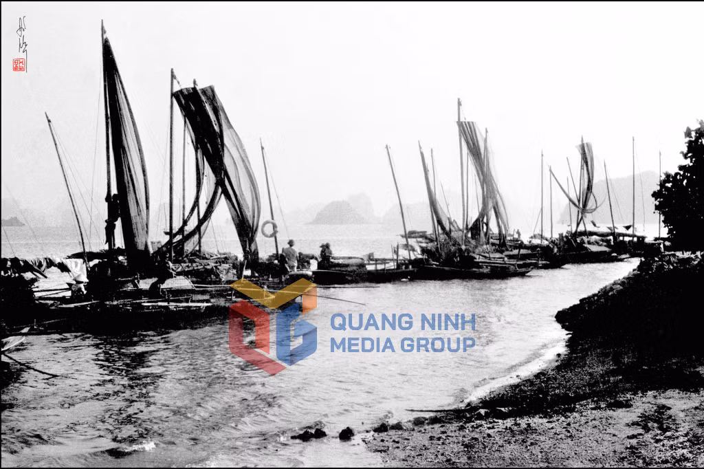 Gió biển theo về. Ảnh: Đỗ Kha