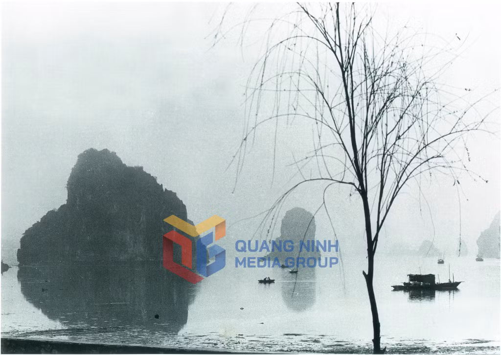 Dáng lụa. Ảnh: Đỗ Kha