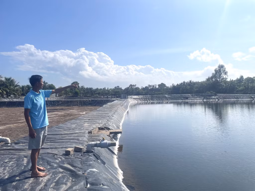 Diện tích nuôi tôm của hộ anh Nguyễn Đức Vang (khu 5, phường Hà An) nằm trong diện thu hồi để thực hiện các dự án trên địa bàn thị xã.