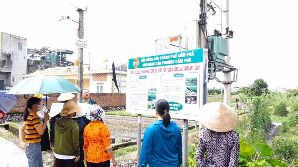 HND phường Cẩm Phú (TP Cẩm Phả) lắp đặt pano hướng dẫn hội viên sử dụng thuốc bảo vệ thực vật. Ảnh: HND Cẩm Phú.