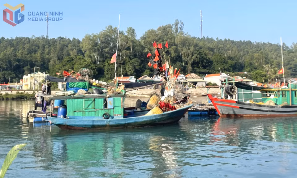Tàu khai thác thuỷ sản tại Vân Đồn.