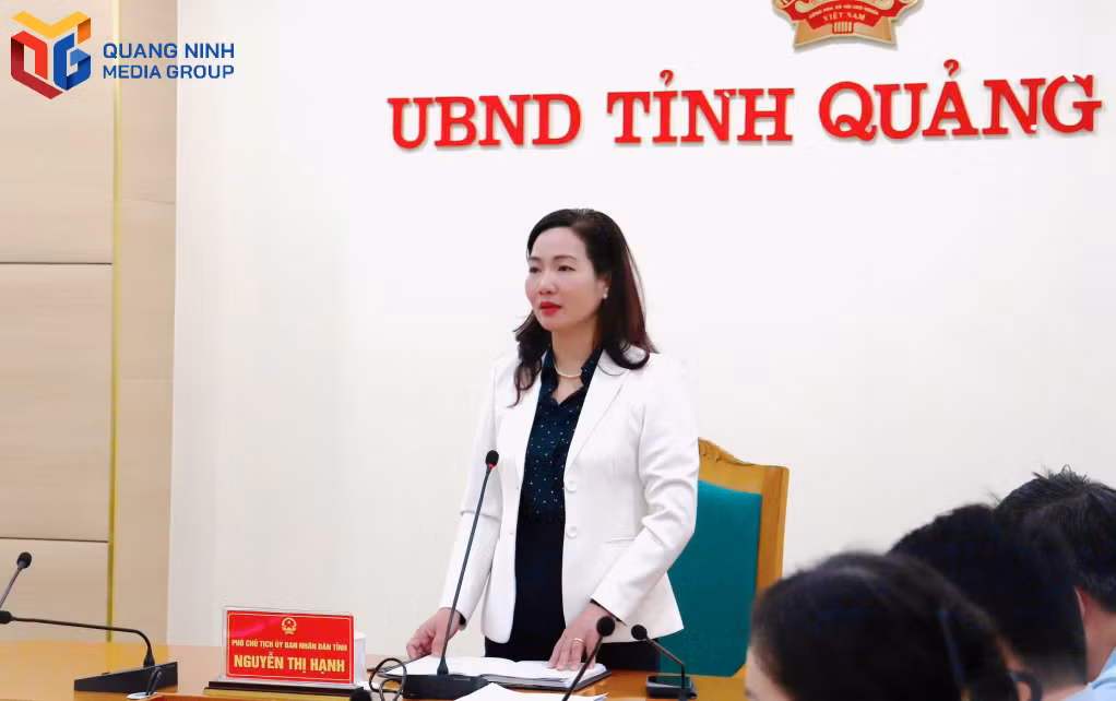 Phó Chủ tịch UBND tỉnh Quảng Ninh chỉ đạo cuộc họp. 