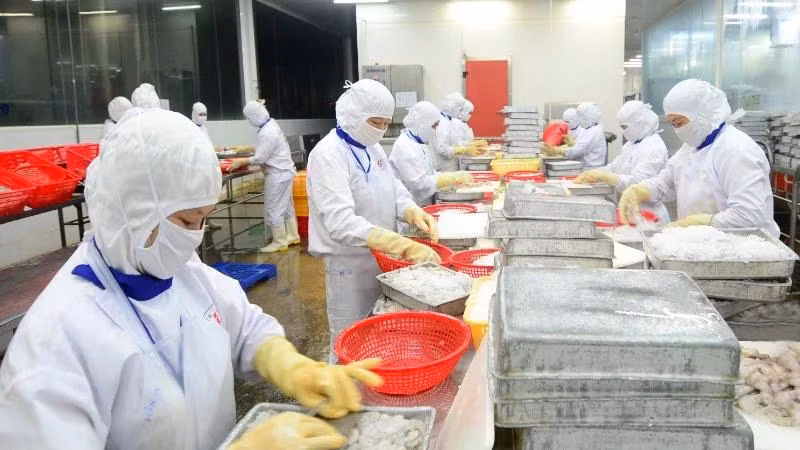 Thủy sản Việt Nam là một trong những mặt hàng có mặt tại hệ thống bán lẻ trên nhiều quốc gia trên thế giới. (Ảnh: ĐỨC AN)