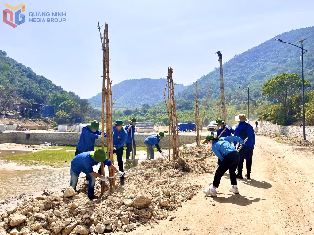 Hơn 20 đoàn viên thanh niên Hải Hà trồng 450 cây tre trên Đảo Trần.