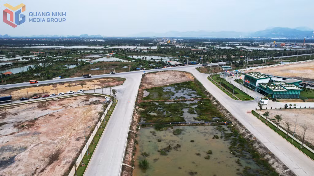 TX Quảng Yên gấp rút GPMB đoạn 700m trục Đông - Tây của KCN Sông Khoai để chủ đầu tư hoàn thành kết nối với đường ven sông (đoạn từ đường tỉnh 338 đến cổng tỉnh)