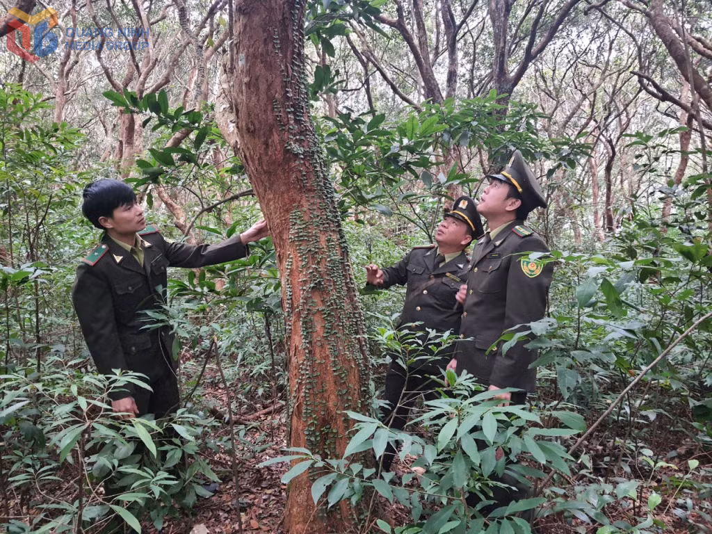 Cán bộ, nhân viên của Vườn quốc gia Bái Tử Long sẽ vừa là người giữ rừng vừa là những người làm du lịch sau này...