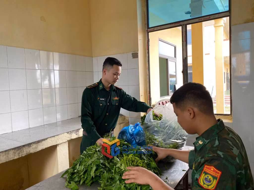 Thiếu úy Mai Quốc Quân, nhân viên quản lý bếp ăn của Tiểu đoàn huấn luyện, BĐBP Quảng Ninh kiểm tra chất lượng rau xanh.