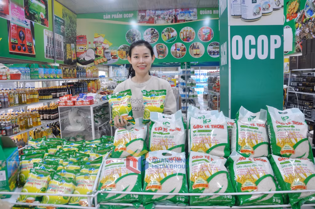 HTX Hoa Phong sản xuất, cung cấp nhiều loại gạo đặc sản, được thị trường ưa chuộng hiện nay.