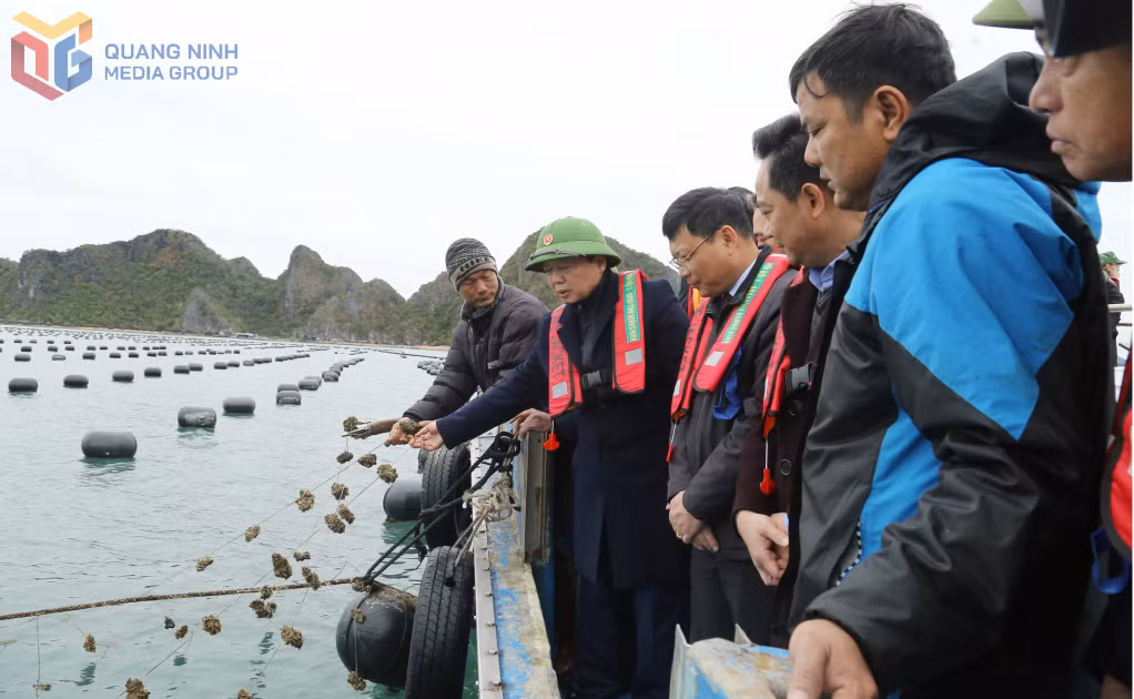 Phó Thủ tướng Chính phủ Trần Hồng Hà thăm HTX thủy sản Trung Nam trong chuyến kiểm tra tình hình sản xuất nông nghiệp tại huyện Vân Đồn, tháng 2/2025. Ảnh: Thu Chung