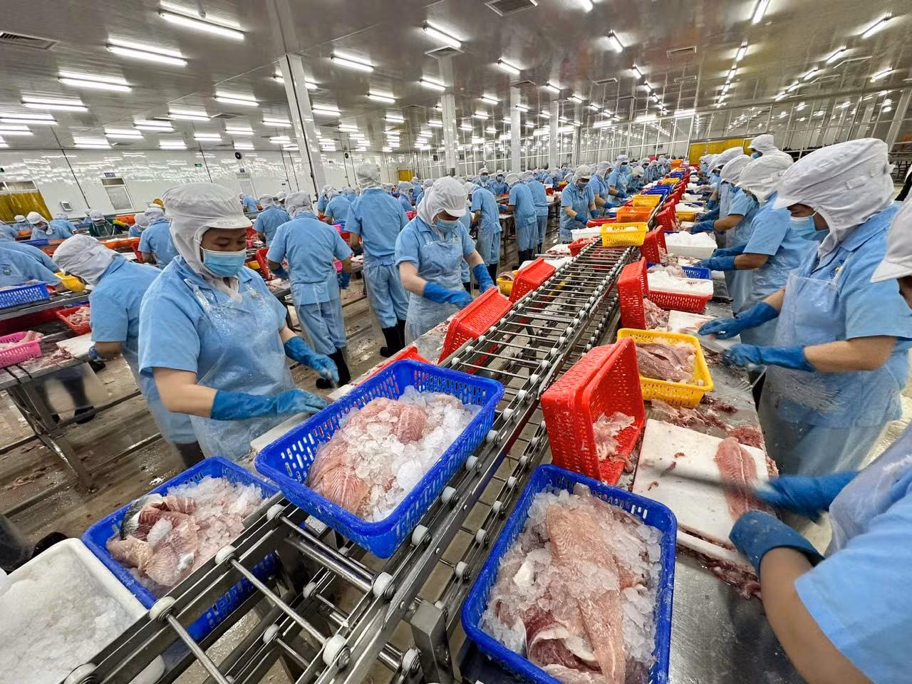 Các doanh nghiệp ngành xuất khẩu thủy sản nỗ lực mở rộng thị trường mới.