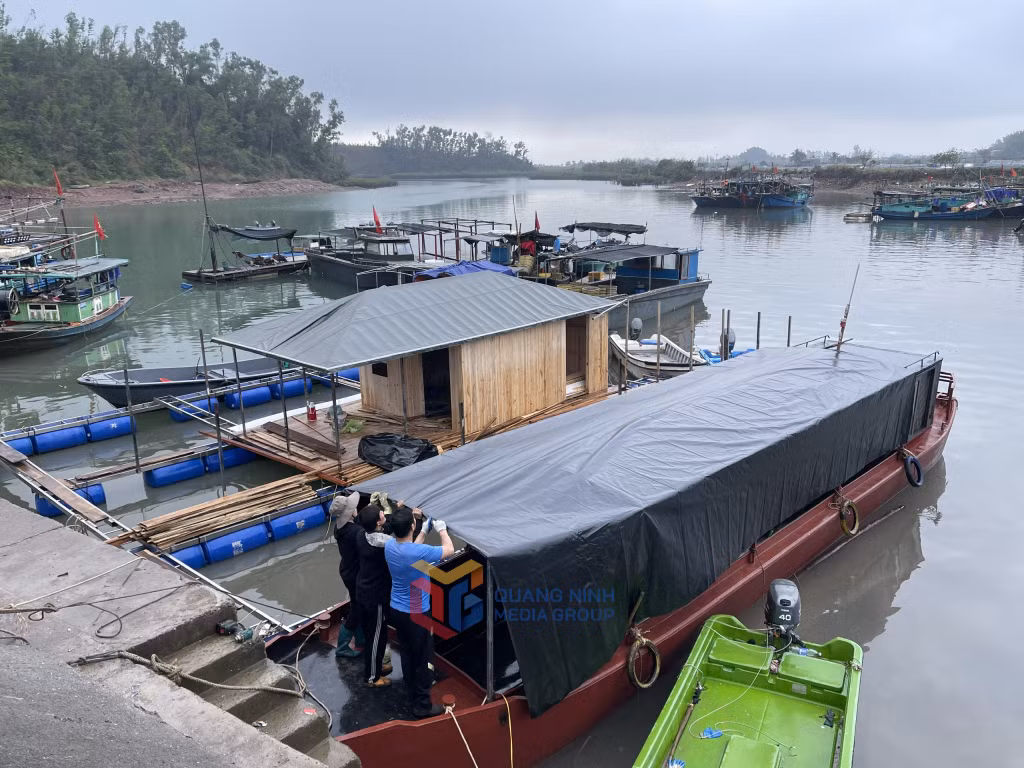 Các hộ dân tại xã Tân Lập (huyện Đầm Hà) chuẩn bị tàu và đóng lồng bè nuôi biển.