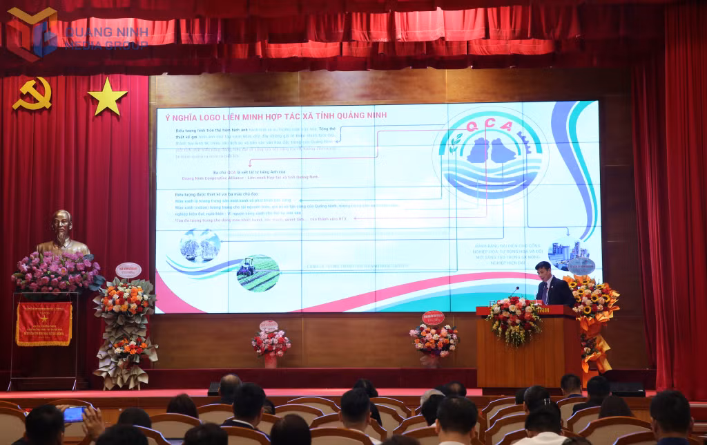 Ra mắt Logo và Wesite của Liên minh HTX tỉnh.