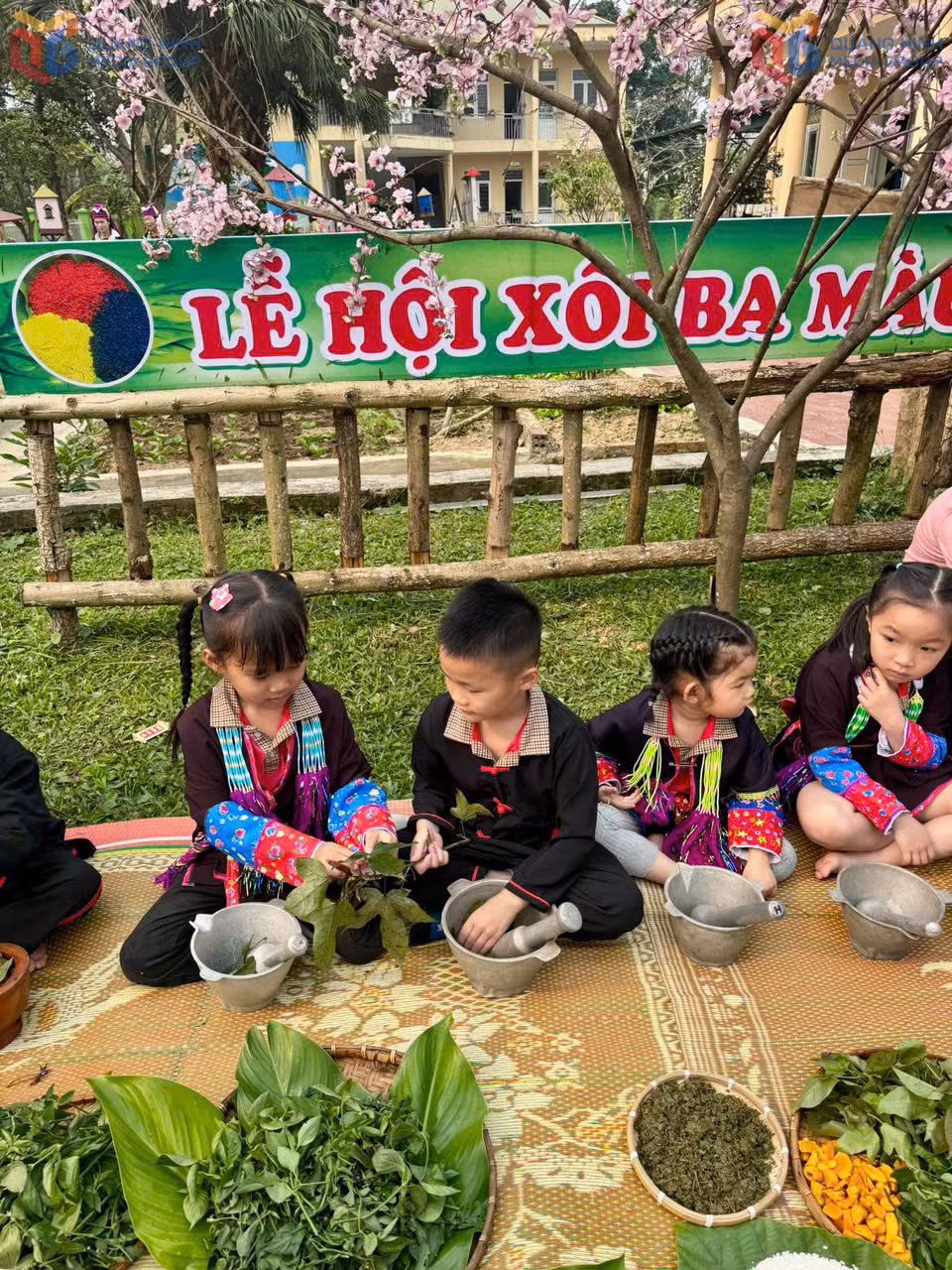 Một giờ học ngoại khóa "Lễ hội xôi ba màu" của các bé trường Mầm non Quảng Đức (huyện Hải Hà).
