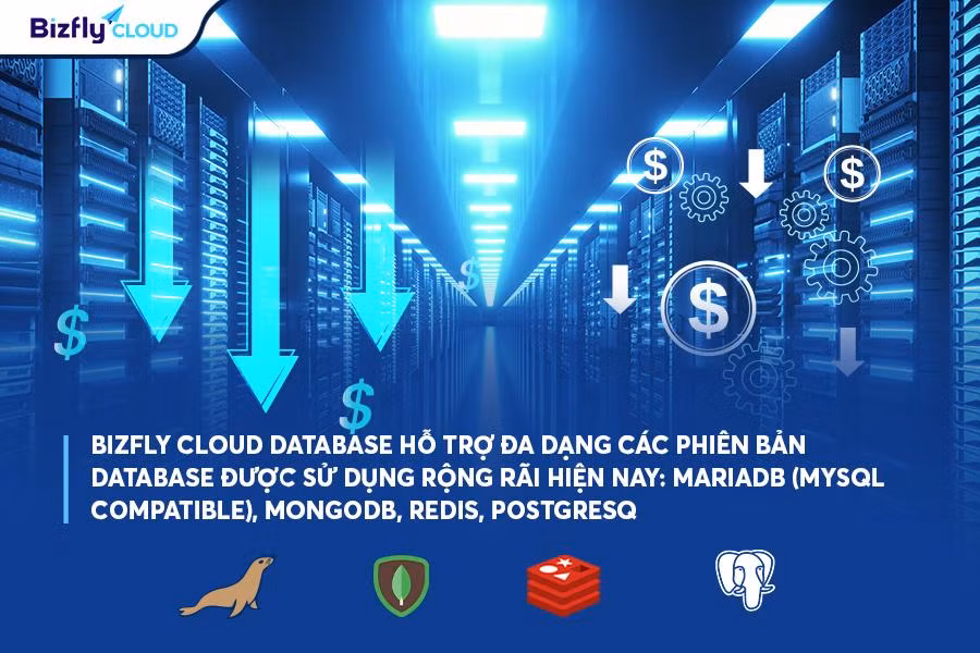 Tối ưu hóa doanh nghiệp với giải pháp Bizfly Cloud Database đột phá ảnh 1 Tối ưu hóa doanh nghiệp với giải pháp Bizfly Cloud Database đột phá ảnh 1
