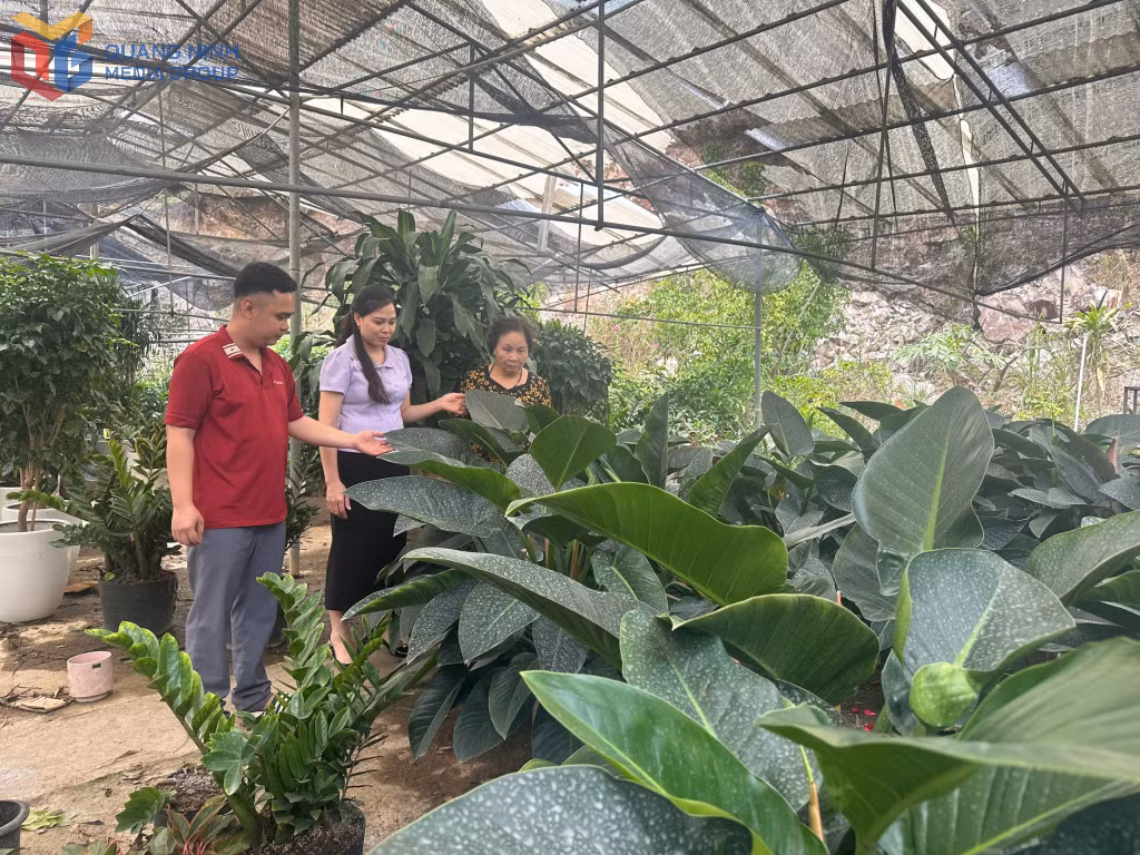 Tổ TK&amp;VV khu 3, 4, phường Quang Trung, TP Uông Bí phối hợp cùng Hội Phụ nữ kiểm tra việc sử dụng vốn vay của người dân.