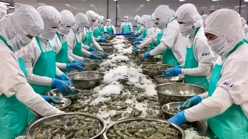 Từ nay đến cuối năm 2025, xuất khẩu nông lâm thủy sản gặp nhiều thách thức.
