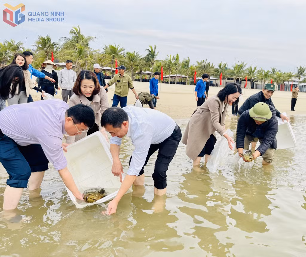 Bên cạnh thả các con giống thủy sản, nhiều loài cá trưởng thành cũng đã được các đại biểu, nhân dân thả về tự nhiên.