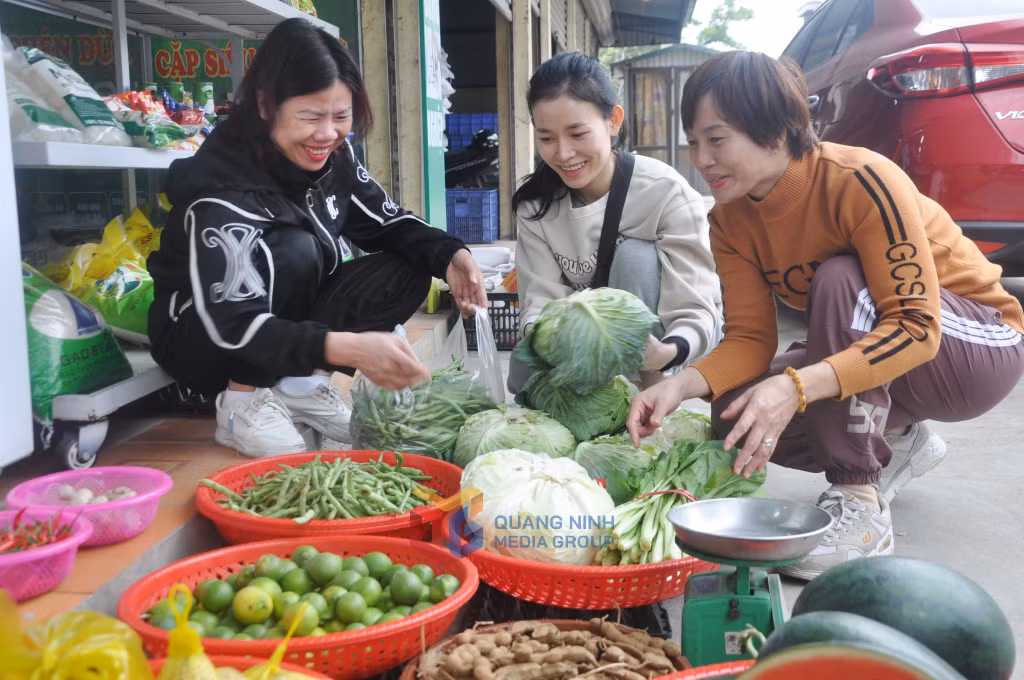Nông sản của HTX Hoa Phong được cung cấp cho các công ty, xí nghiệp và bán lẻ tại điểm trưng bày, giao dịch tại chợ Cột (Đông Triều).